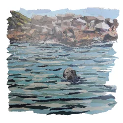 Isla de focas